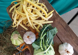 Zdjęcie przedstawia warzywa. W górnym lewym rogu leży żółta fasolka szparagowe, niżej kalarepa i czosnek. Po niżej leży kapusta.